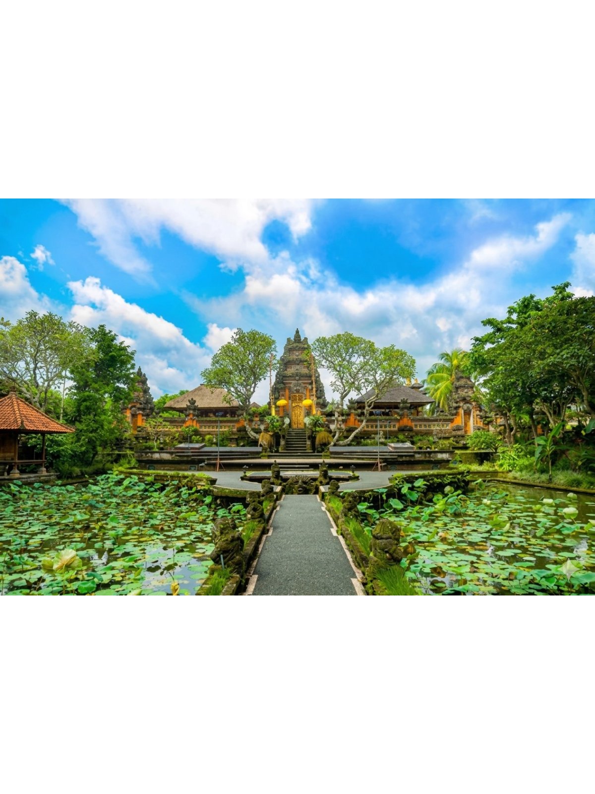 Jalur Shortcut Denpasar - Ubud Estetik Asik